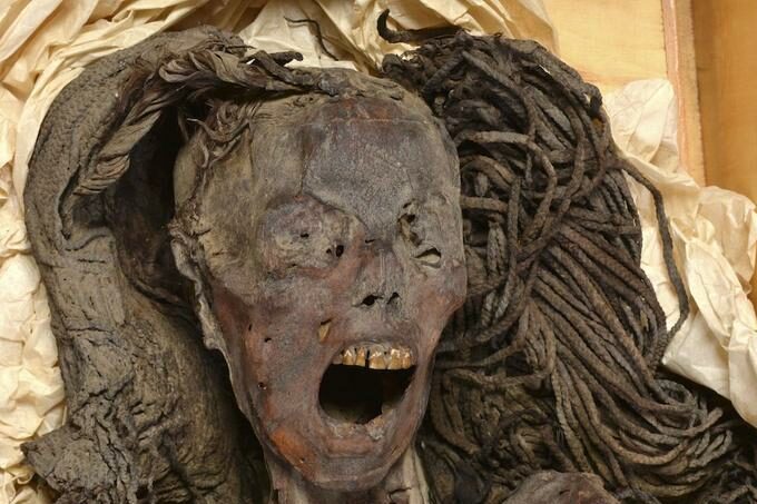 la mummia che urla Sahar Saleem