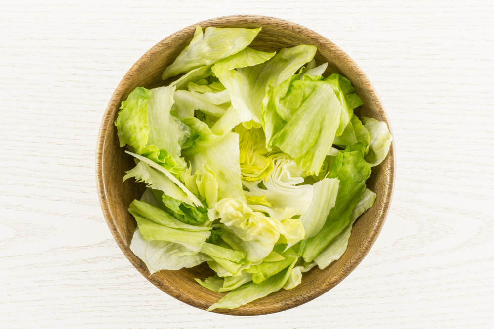 insalata iceberg listeria